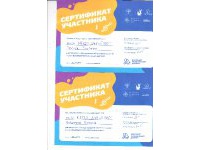 Сертификаты участника 2